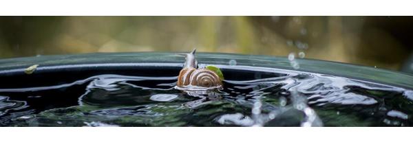 Slow beauty rituals from near and far, in the language of nature