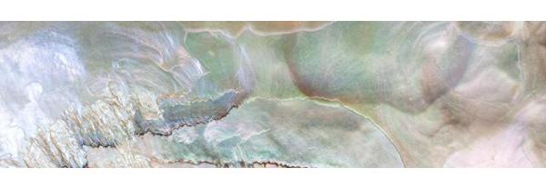 THE Pearl Spa X red flower