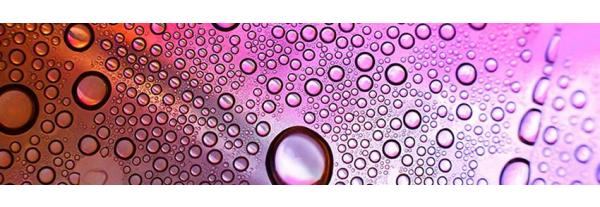 Live Life Fully, Shower First