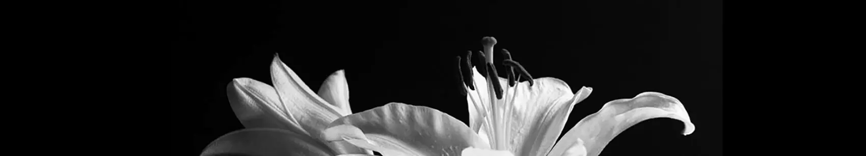organic perfume