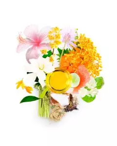 kinmoxei wild lime silk oil