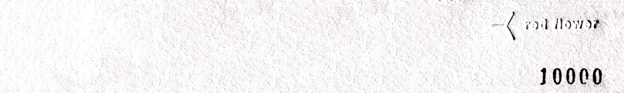 The 10,000 The 10,000