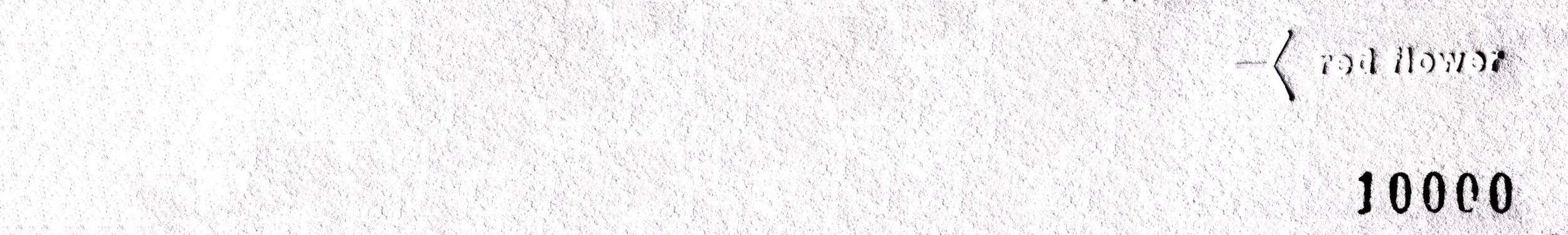 The 10,000 The 10,000