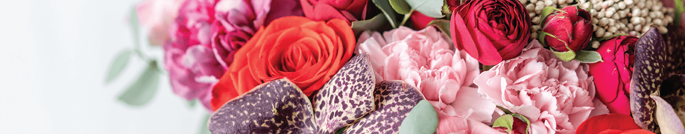 flower bath rite flower bath rite