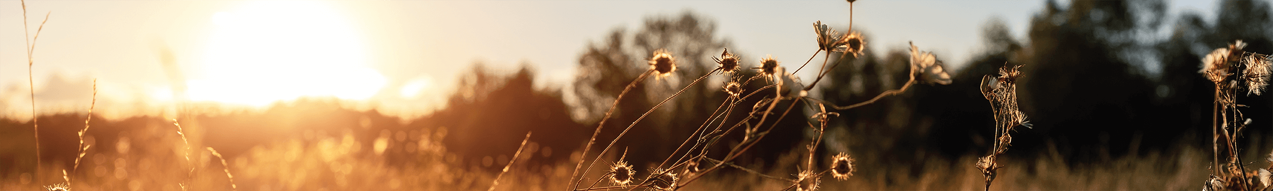 spring skincare spring skincare