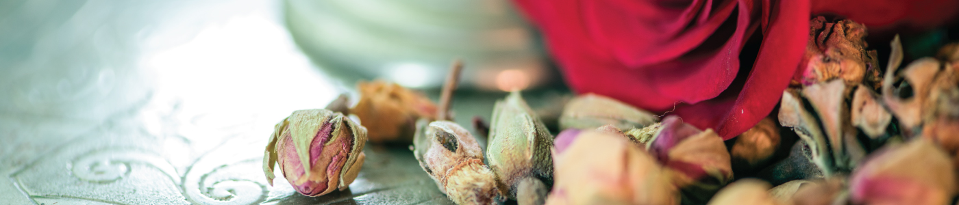 moroccan rose moroccan rose