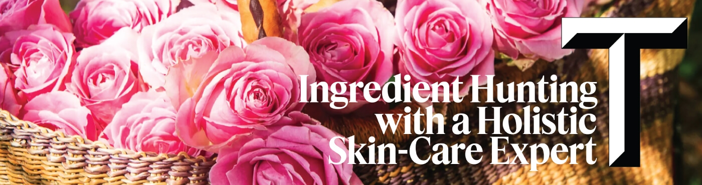 Ingredient Hunting New York Times Ingredient Hunting New York Times