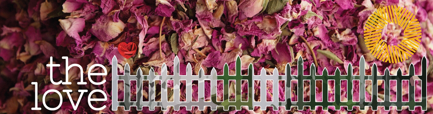 the love offense the love offense