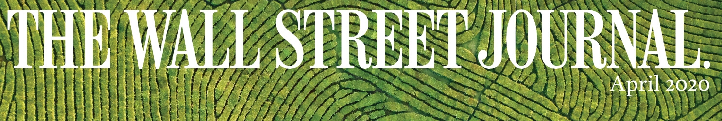 WSJ April 2020 WSJ April 2020