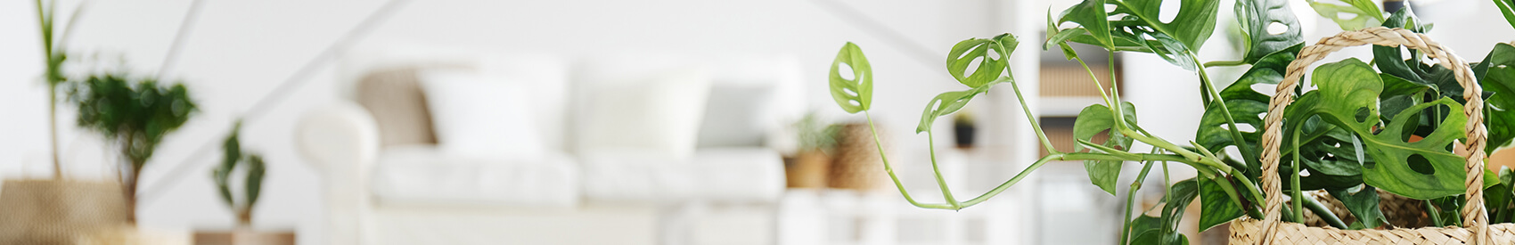 well-scented home well-scented home