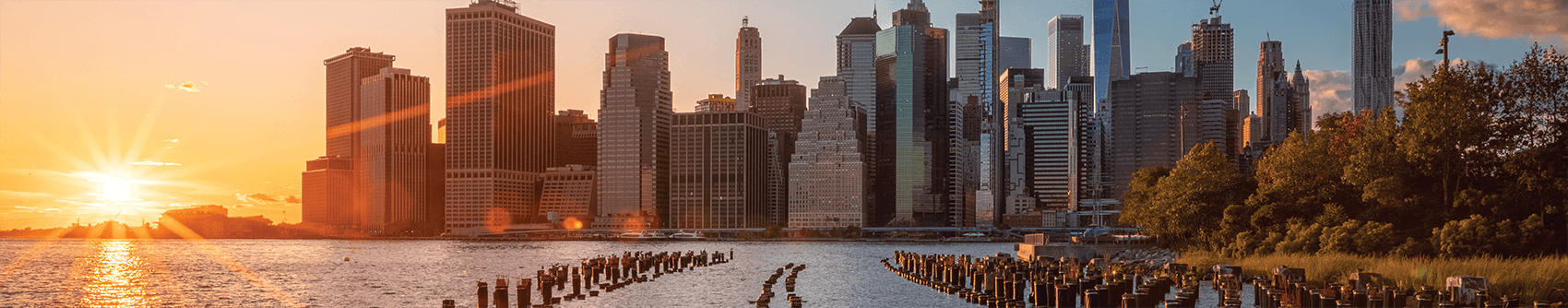 for the creative for the creative