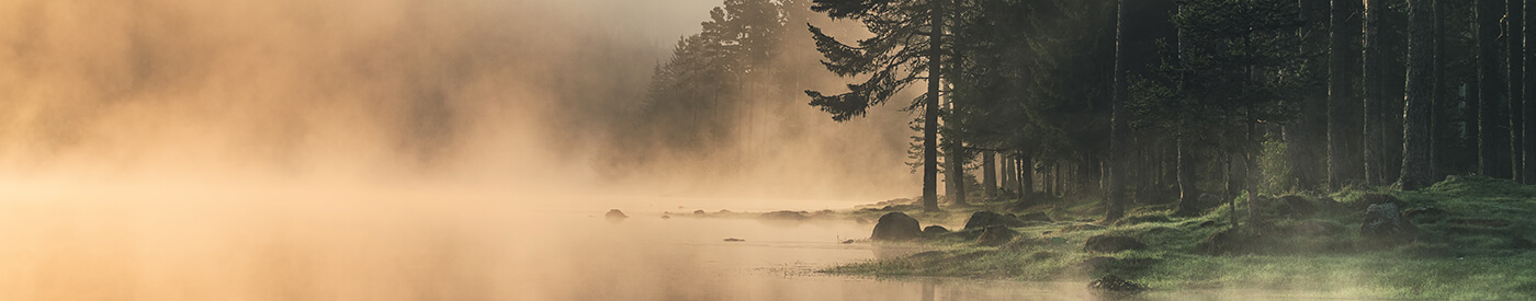 forest bath rite forest bath rite