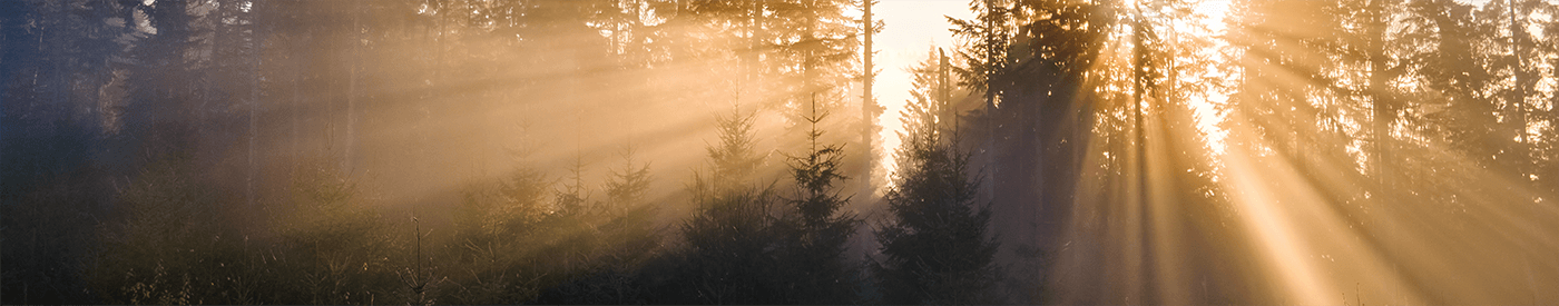 for the cherished for the cherished