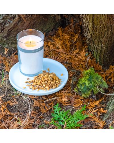 palo santo petal topped candle