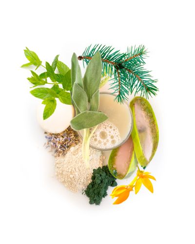 moroccan mint tea silt purifier