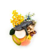 lymphatic phytopower sea cleanser and masque