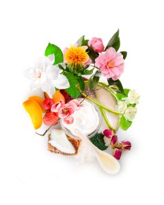 plum blossom silk cream