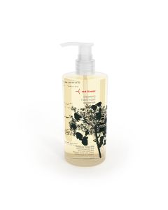 wanderlust cleansing hand wash
